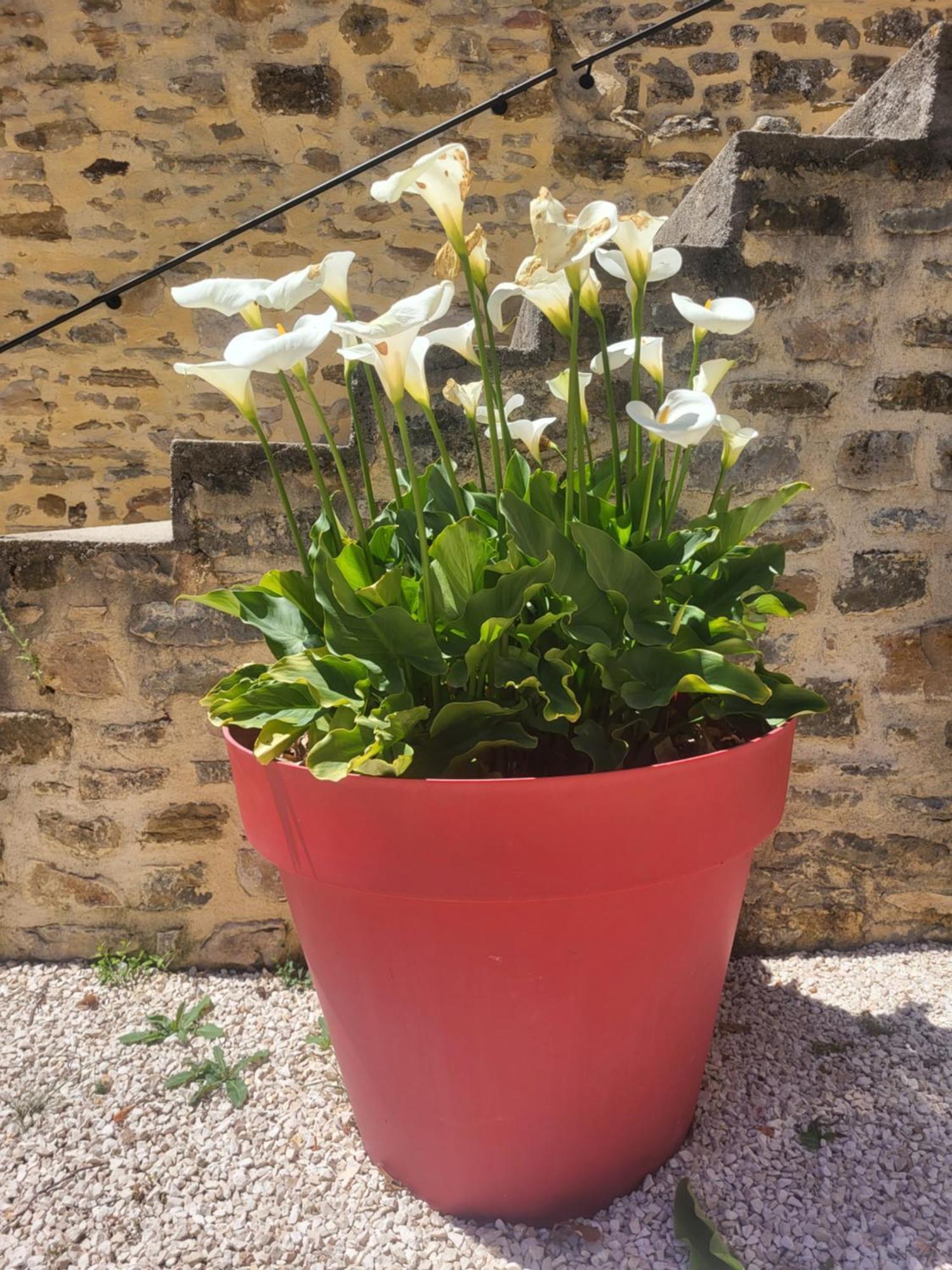 Pougnadoresse Bastide De La Madeleine B&B 외부 사진