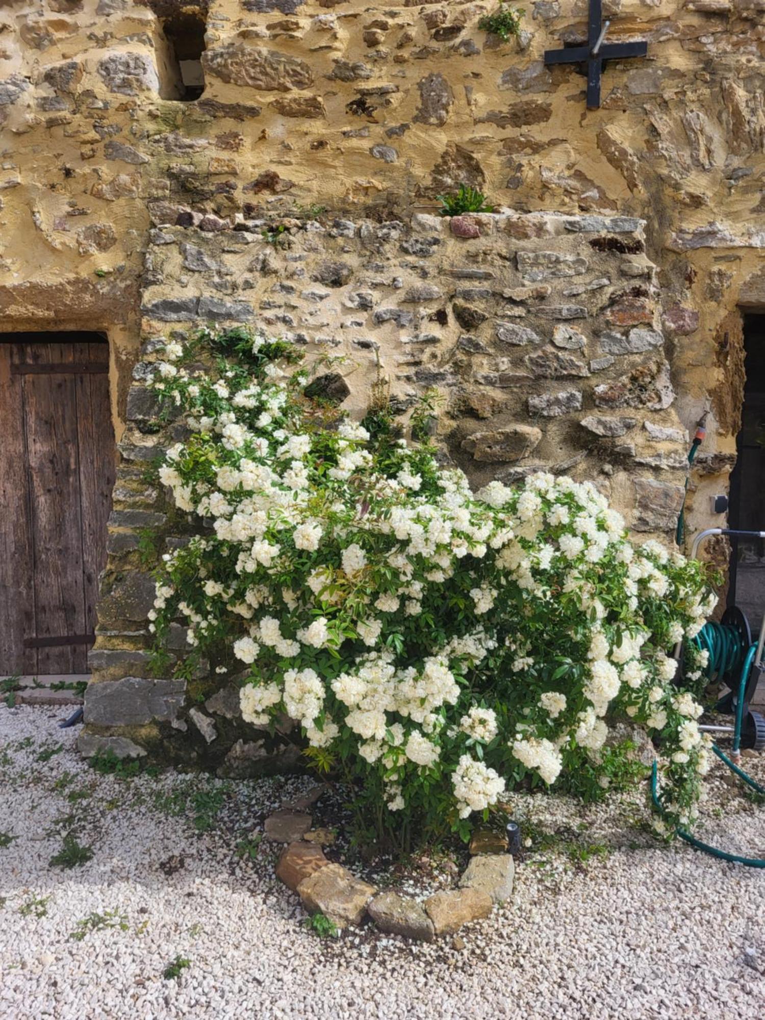 Pougnadoresse Bastide De La Madeleine B&B 외부 사진